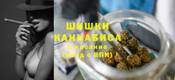 ПСИЛОЦИБИНОВЫЕ ГРИБЫ Белая Холуница
