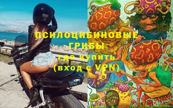 спиды Михайлов