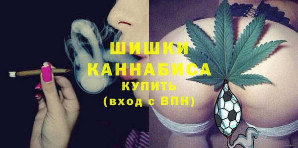спиды Михайлов