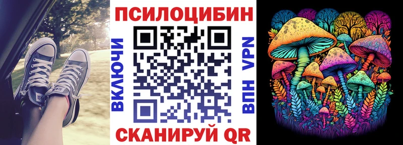 Псилоцибиновые грибы MAGIC MUSHROOMS Гусиноозёрск